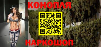крисы Кинель