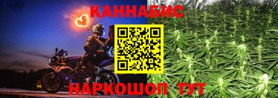 крисы Кинель