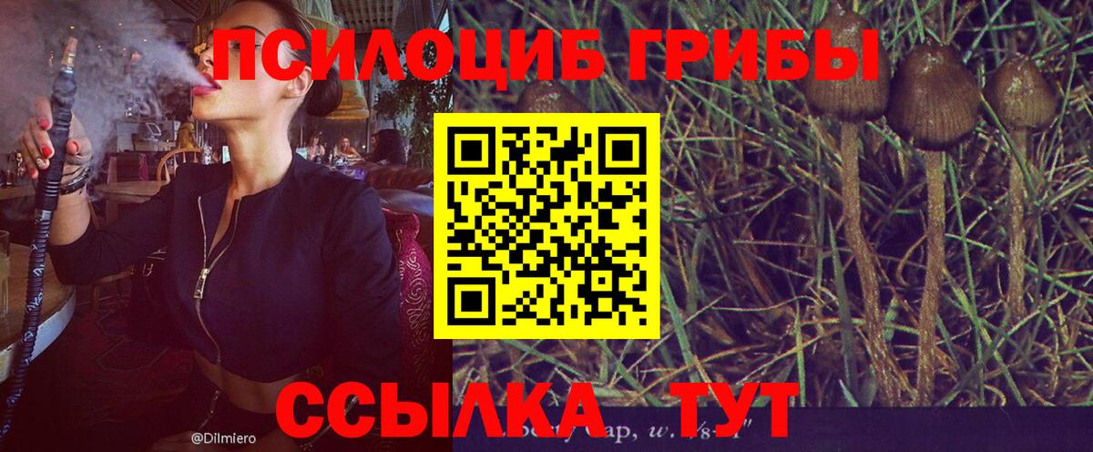 Галлюциногенные грибы ЛСД Шатура
